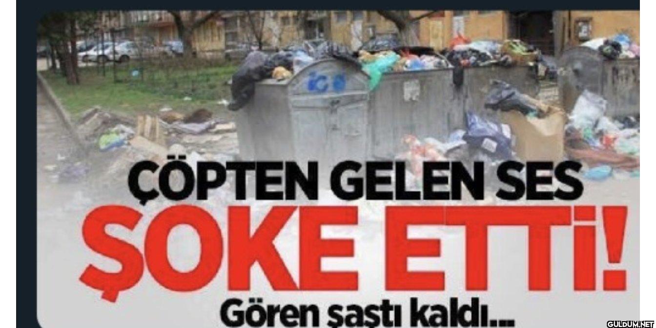 çöpten gelen ses korkuttu ...