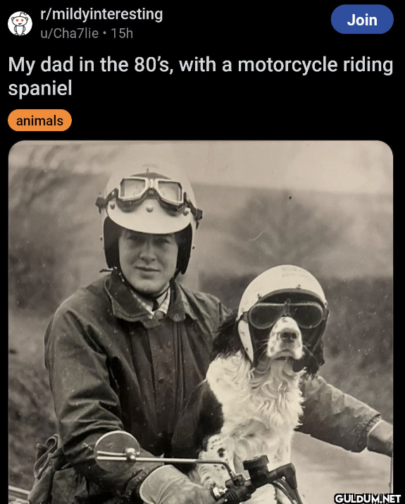 r/mildyinteresting...