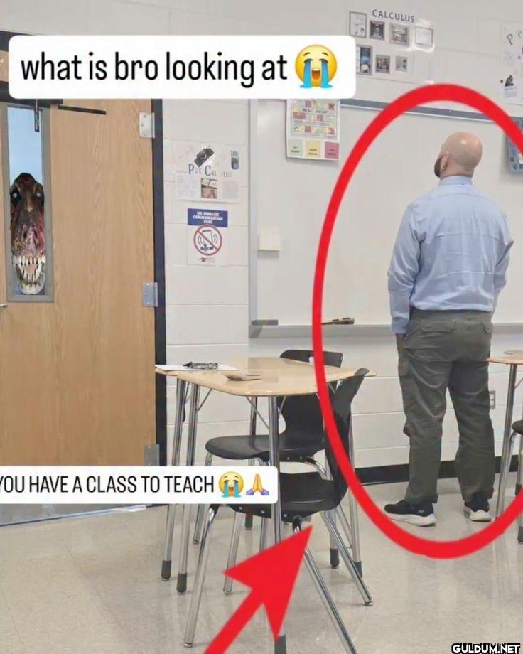 what is bro looking at...