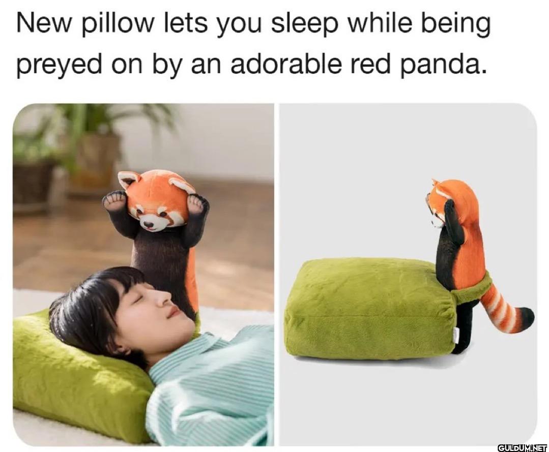 New pillow lets you sleep...