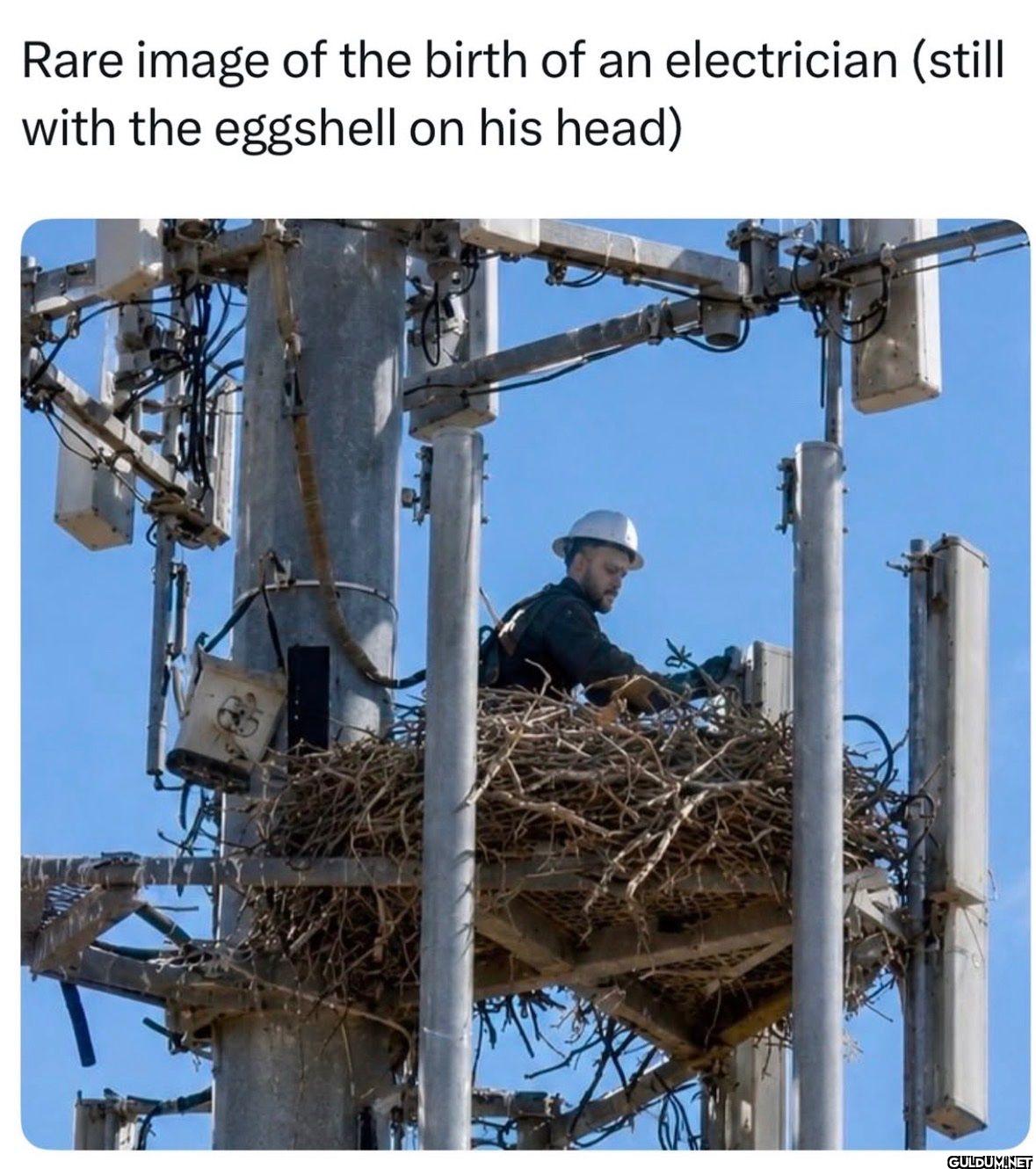 Rare image of the birth of...