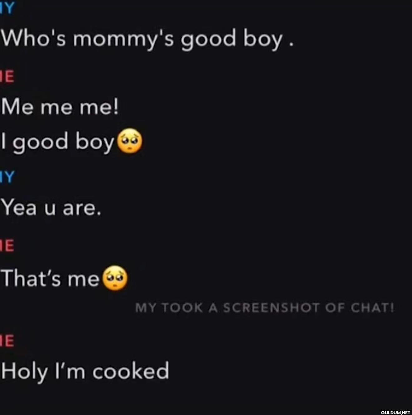 Y Who's mommy's good boy....