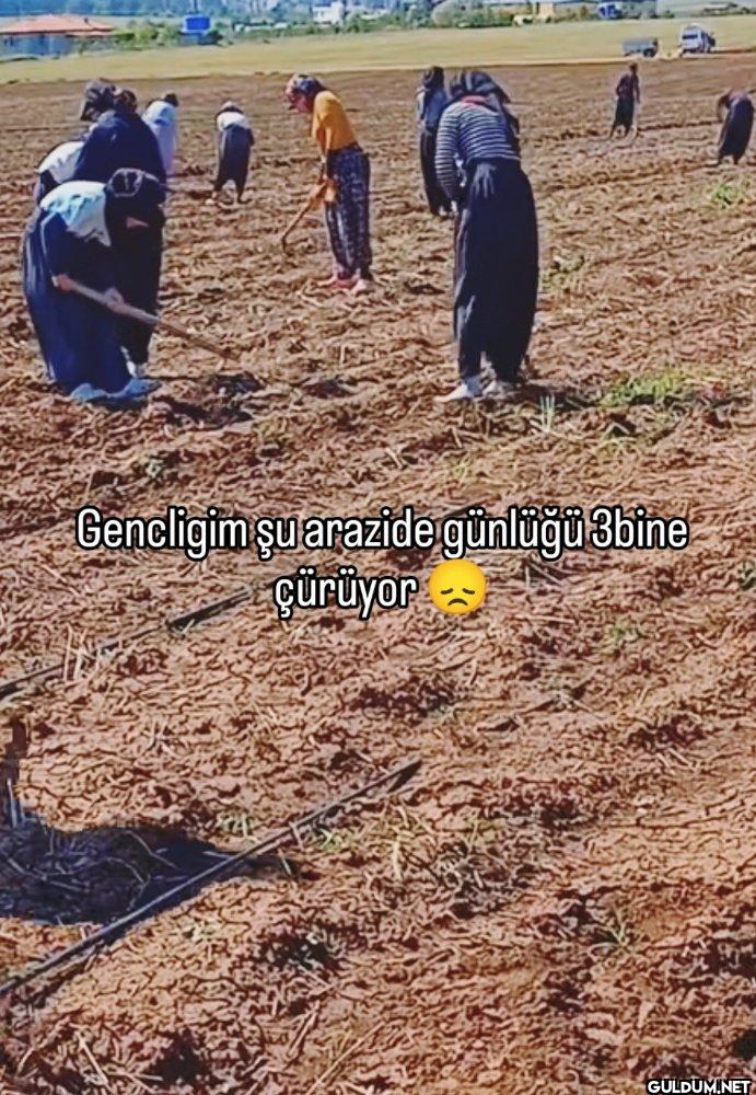 Gencligim şu arazide...