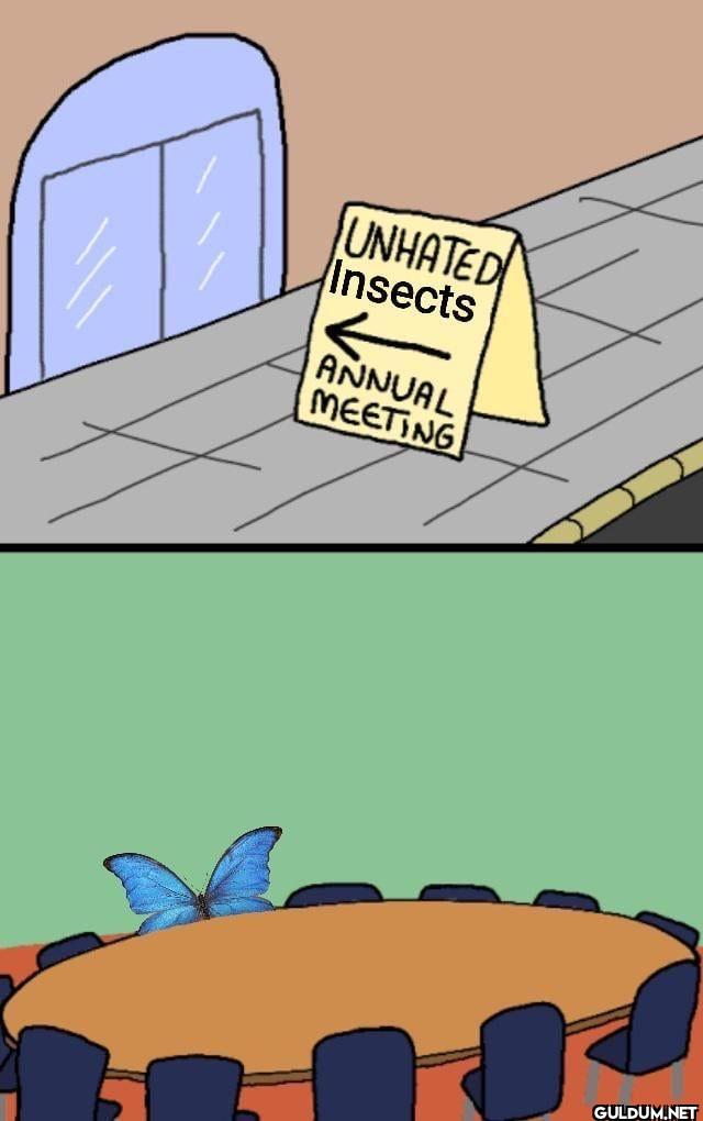 UNHATED Insects ANNUAL MEETING