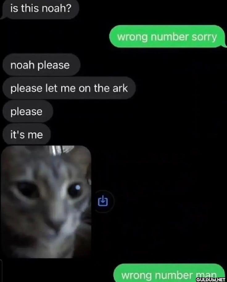is this noah? wrong number...