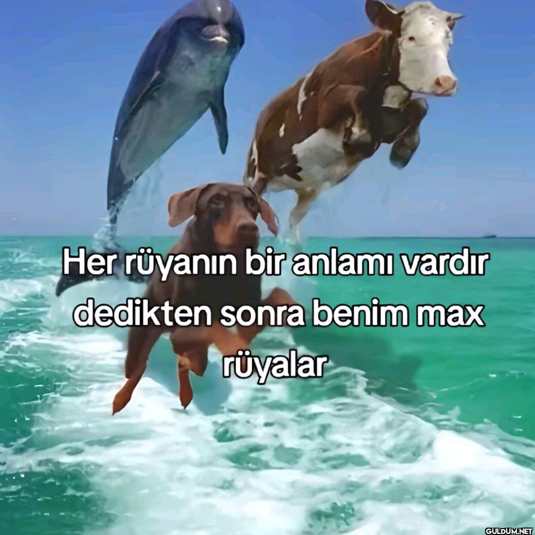 Her rüyanın bir anlamı...