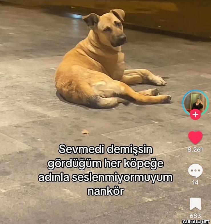 + Sevmedi demişsin...