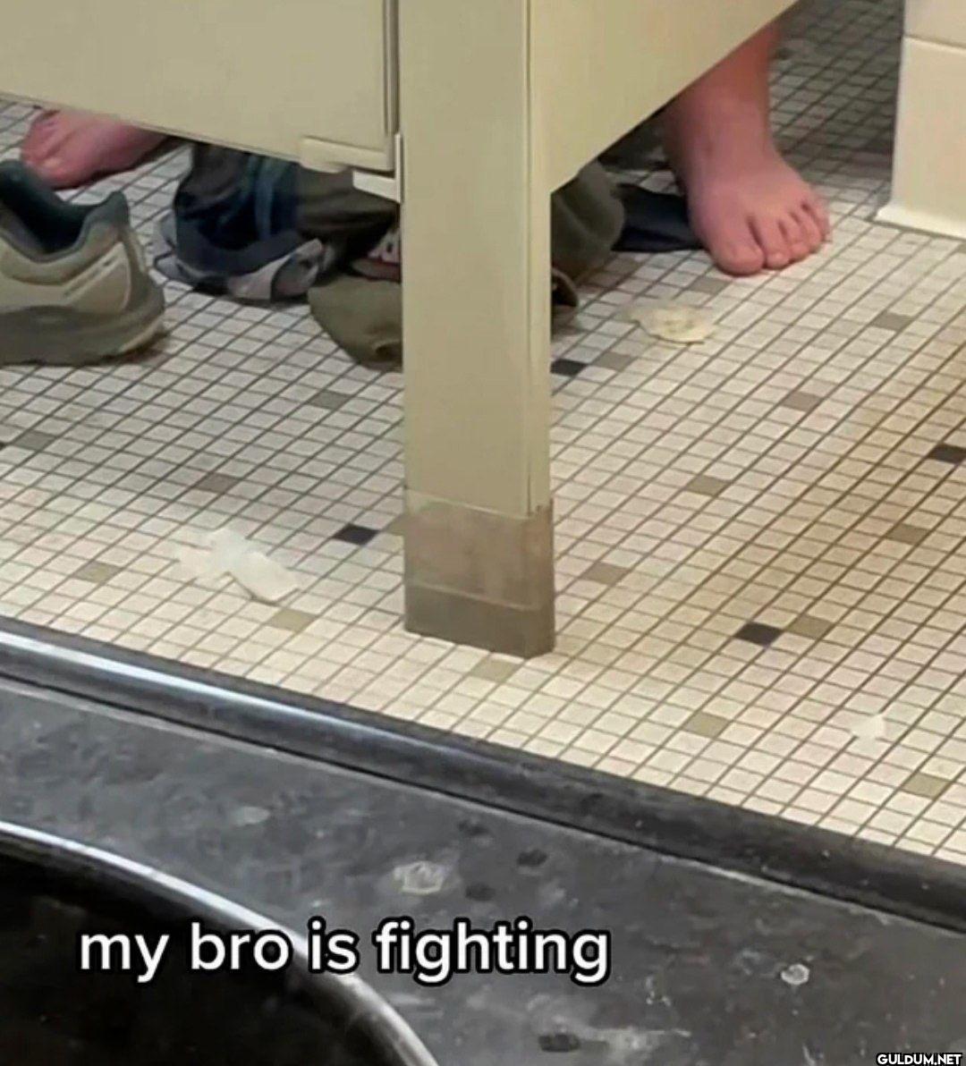my bro is fighting