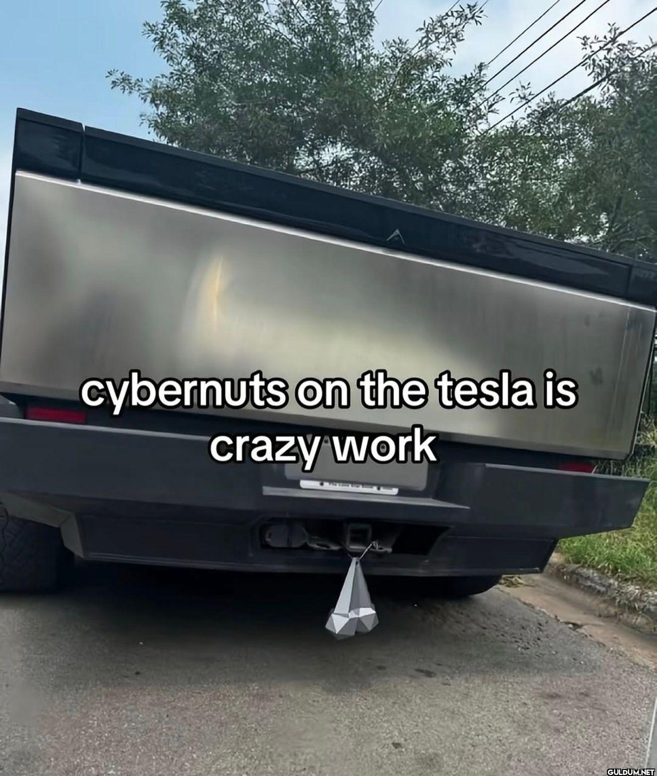 cybernuts on the tesla is...