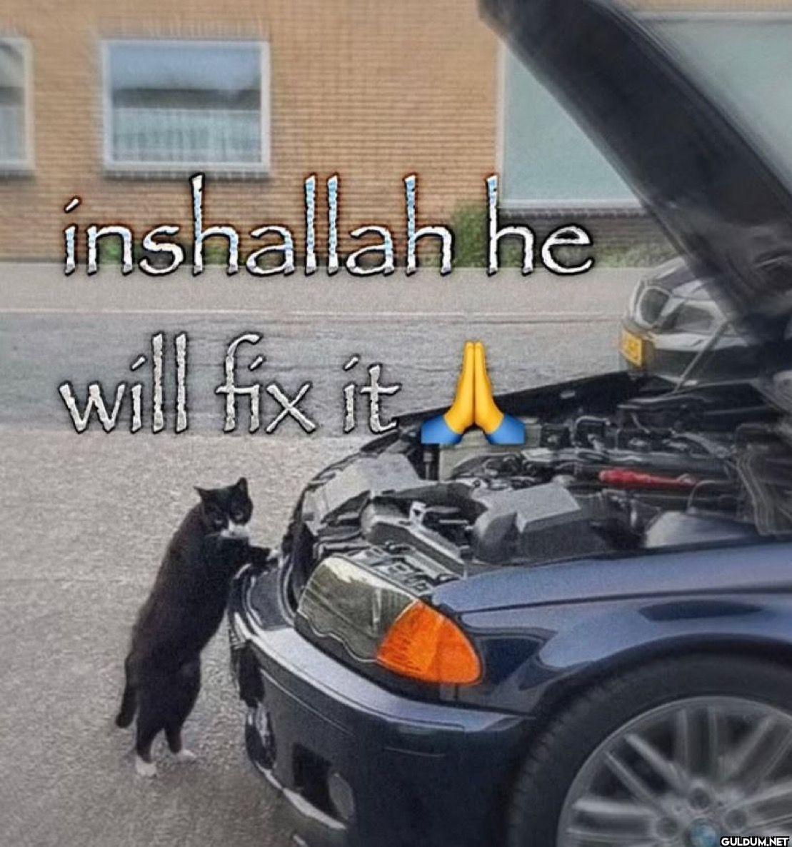 inshallah he