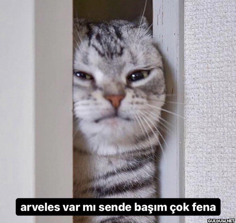 arveles var mı sende başım çok fena
