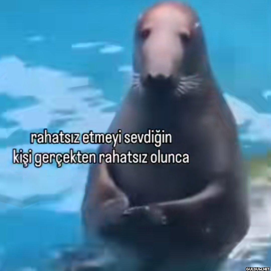 rahatsız etmeyi sevdiğin...
