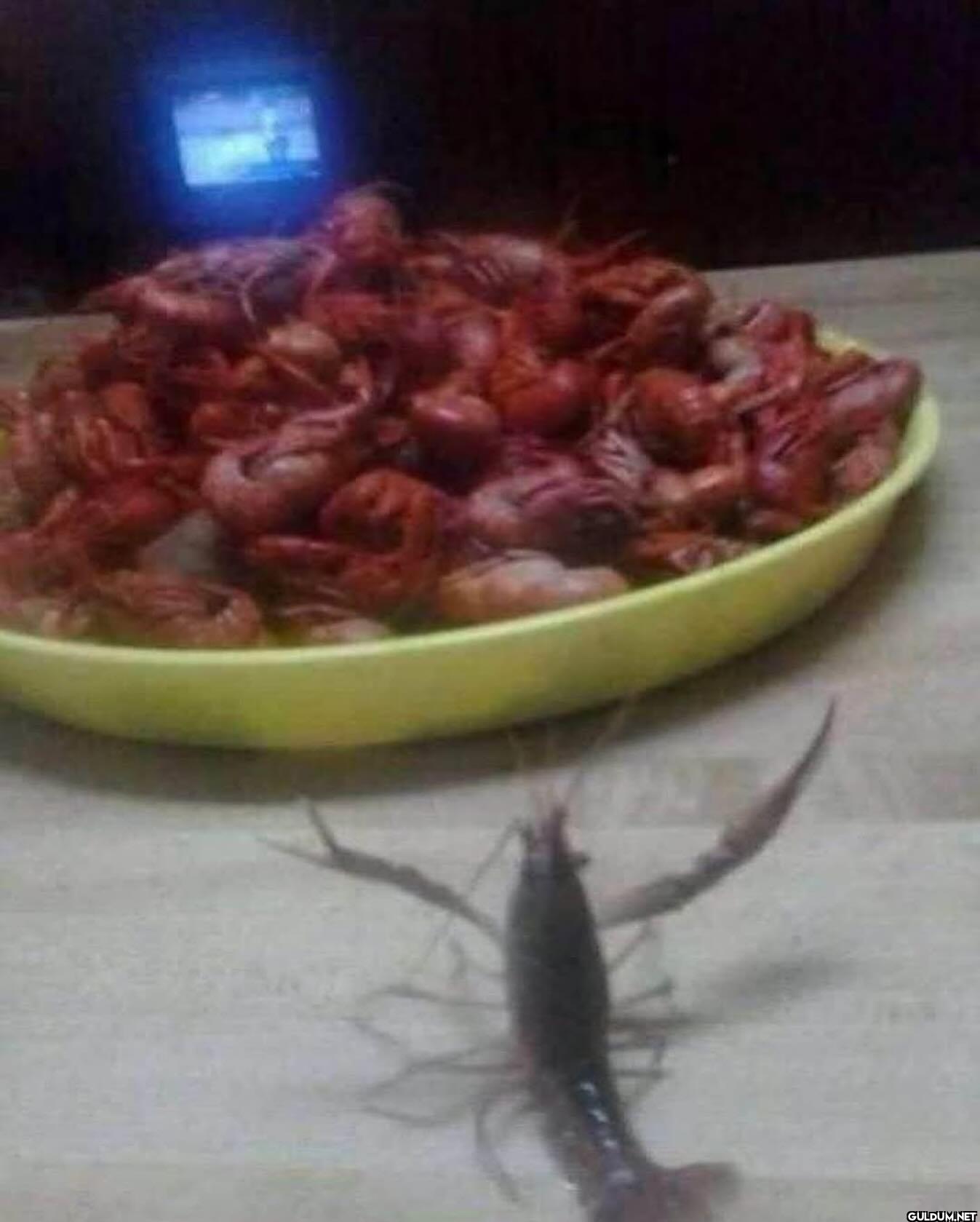 ︎ ︎