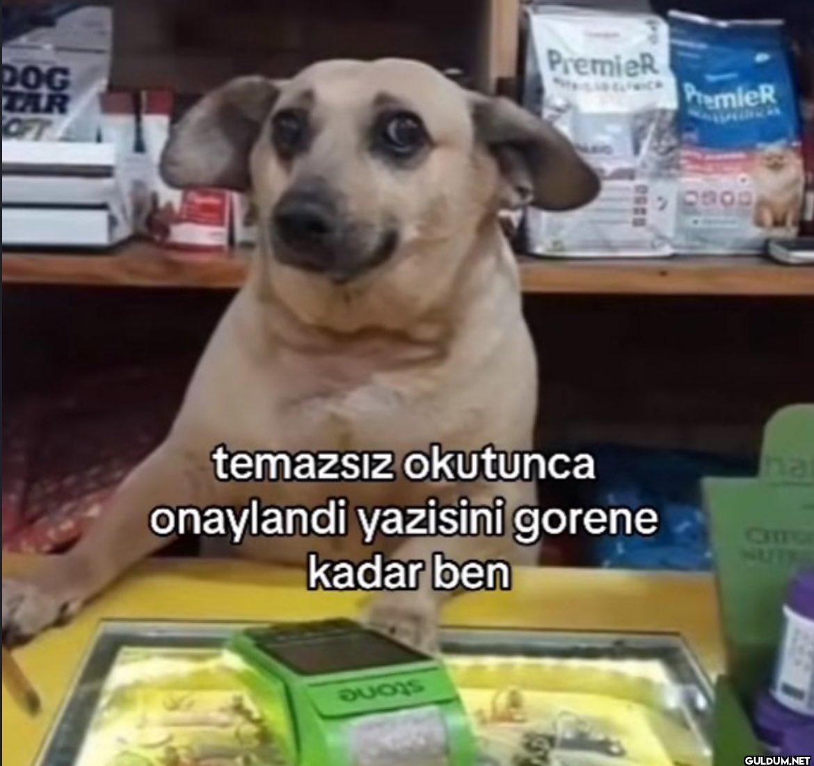 Premier DOG TAR OFT...
