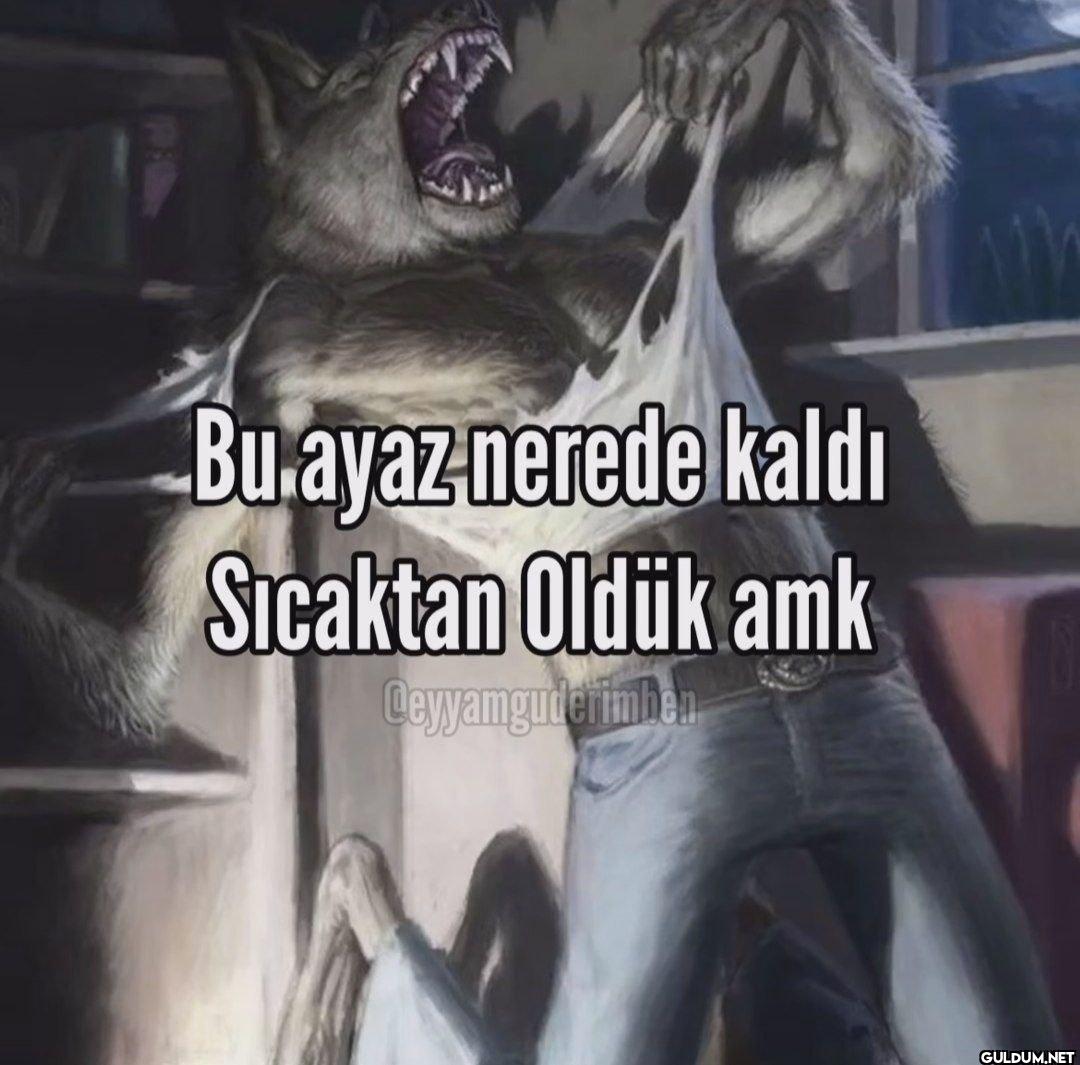 Bu ayaz nerede kaldı...