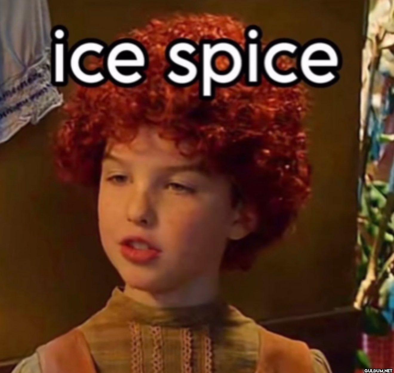 ice spice