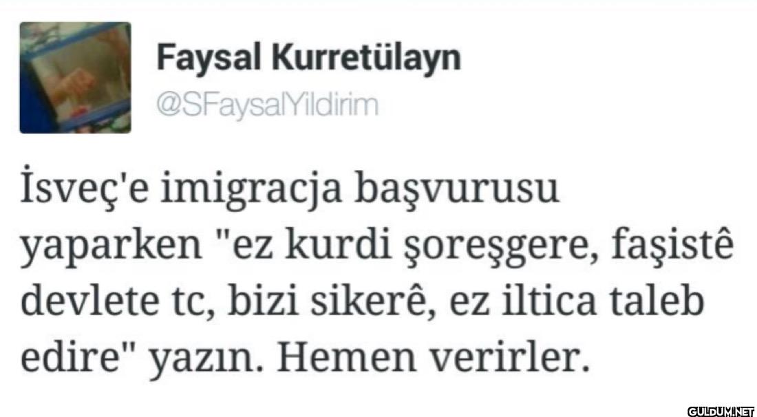 İsveç'e imigracja...