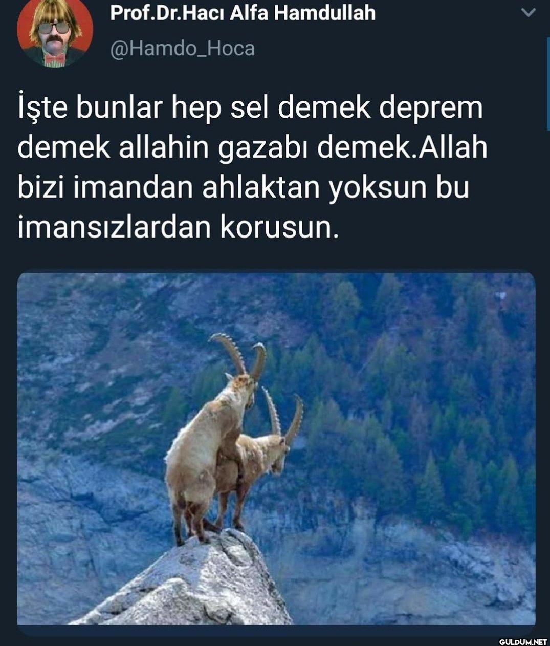 İşte bunlar hep sel demek...