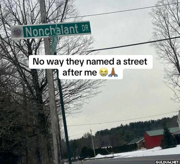 Nonchalant DR No way they...