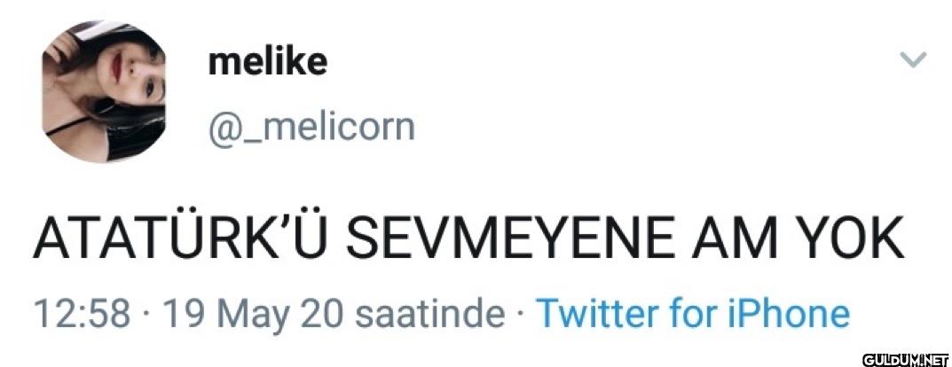 ATATÜRK'Ü SEVMEYENE AM YOK...