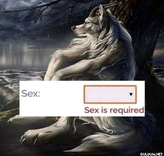 😔    Sex: Sex is required
