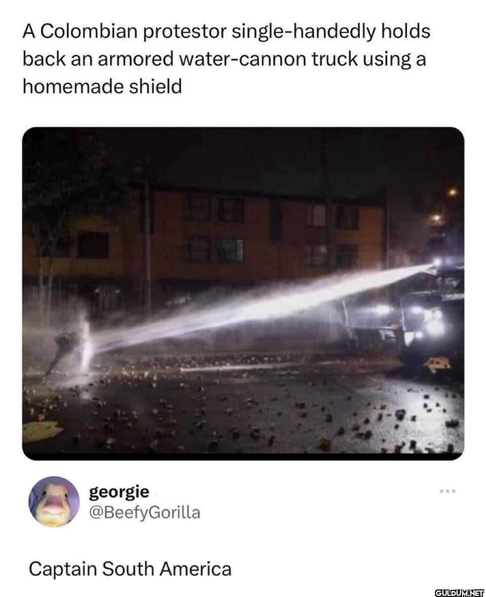 A Colombian protestor...