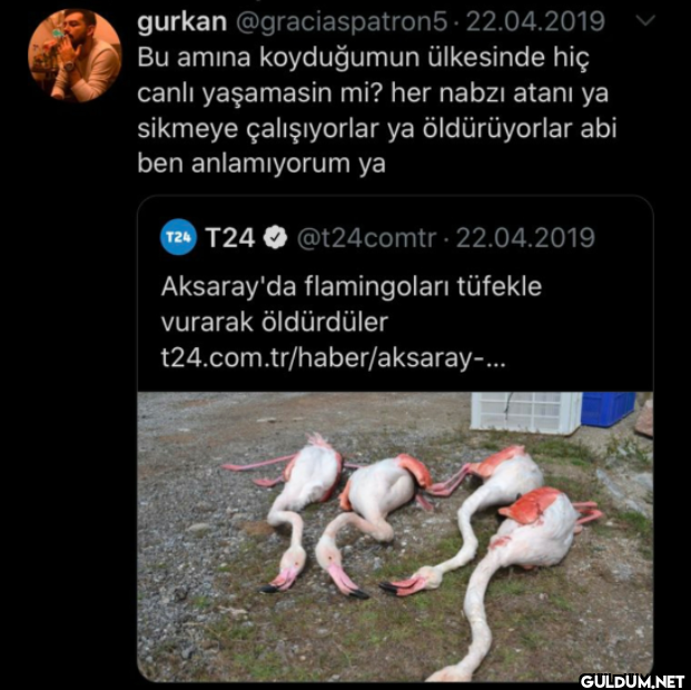 Bu amına koyduğumun...