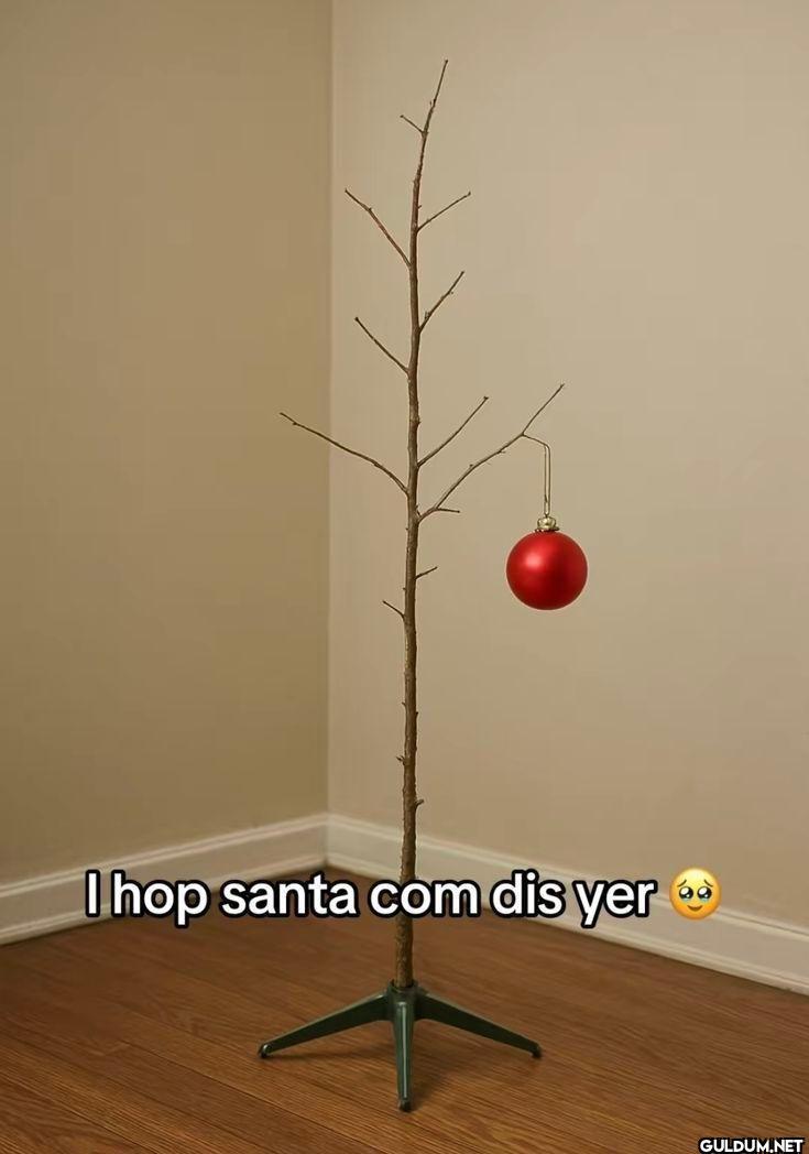 I hop santa com dis yer