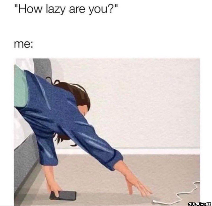 "How lazy are you?" me: