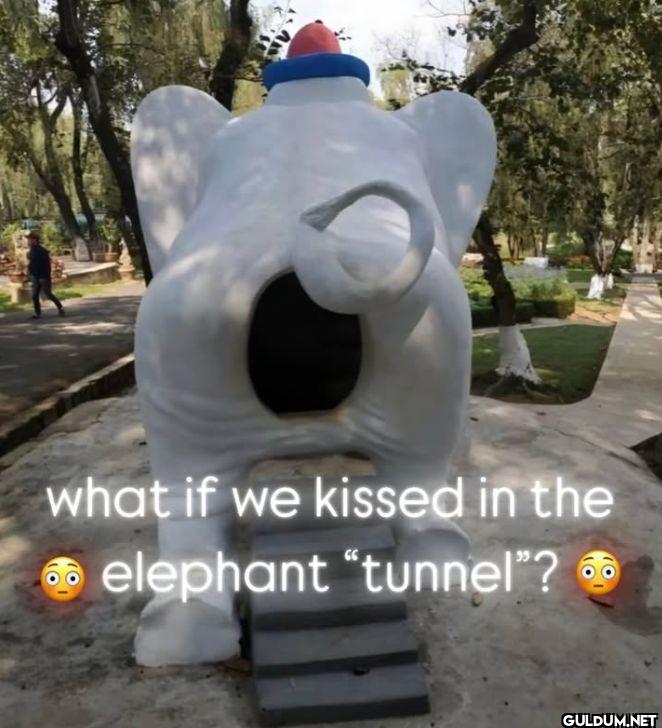 what if we kissed in the...
