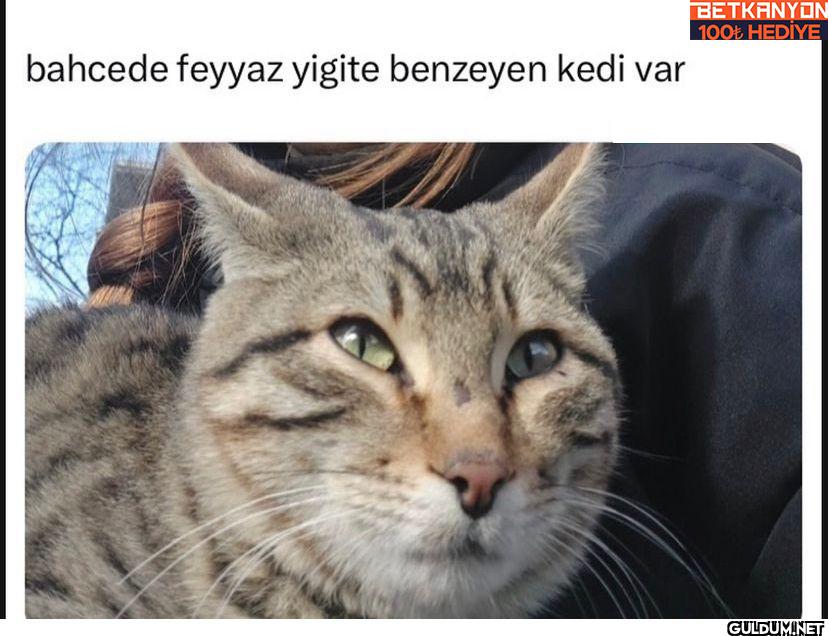 bahcede feyyaz yigite...