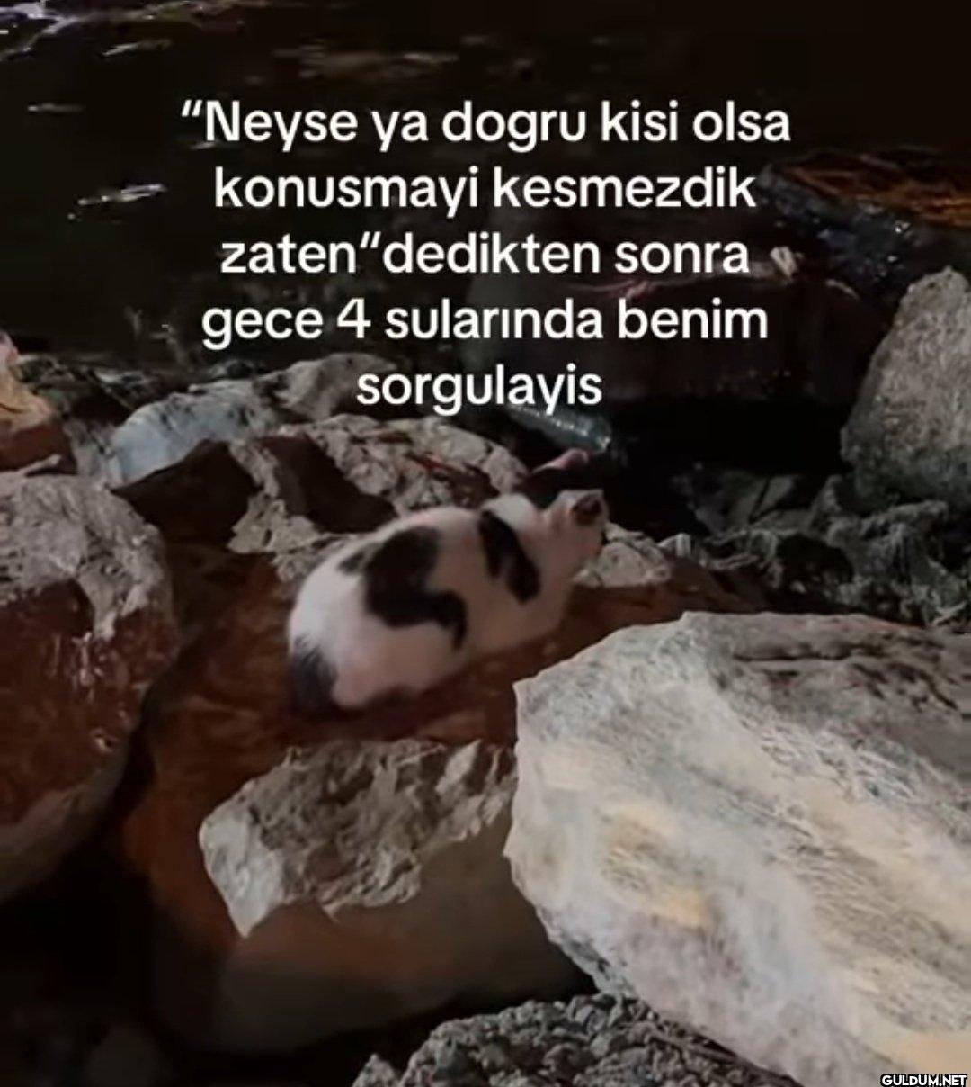 "Neyse ya dogru kisi olsa...