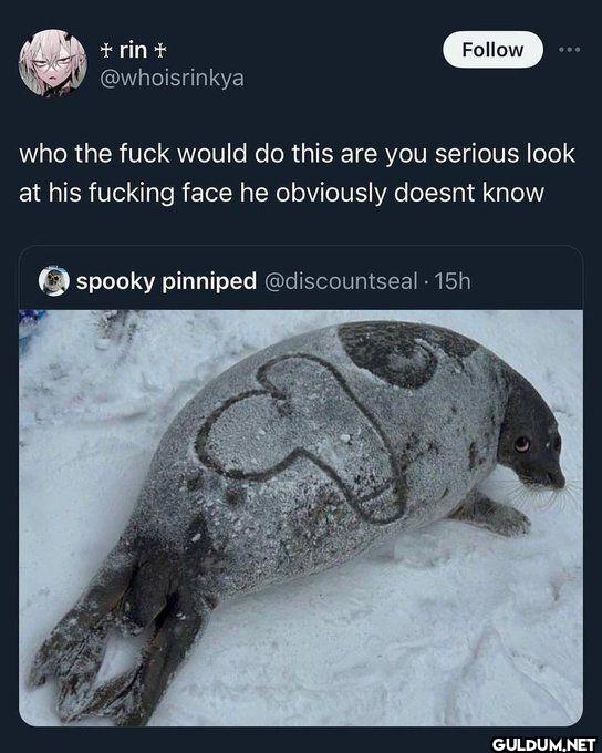 who the fuck would do this...