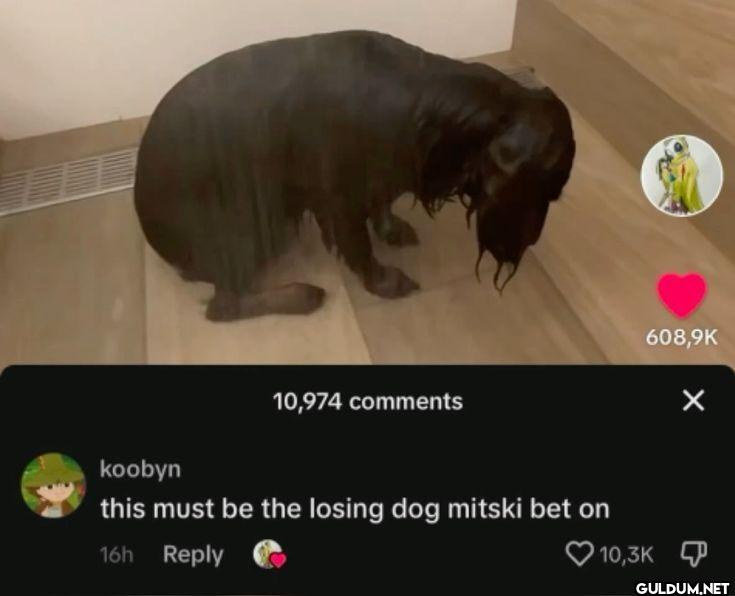 10,974 comments koobyn...