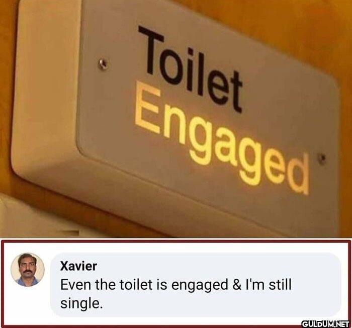 7.    Toilet Engaged...