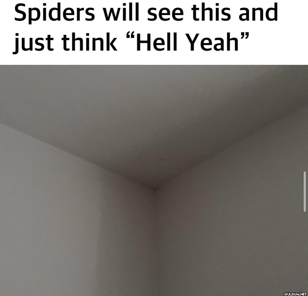 Popular post