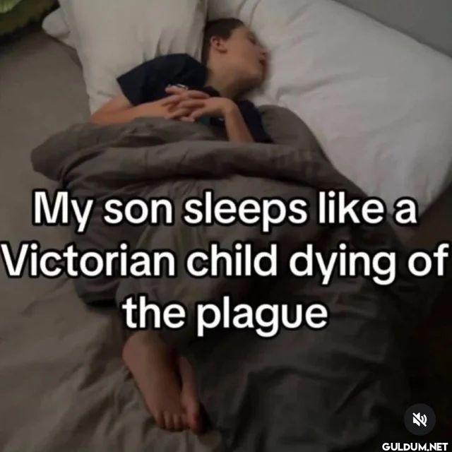 My son sleeps a Victorian...