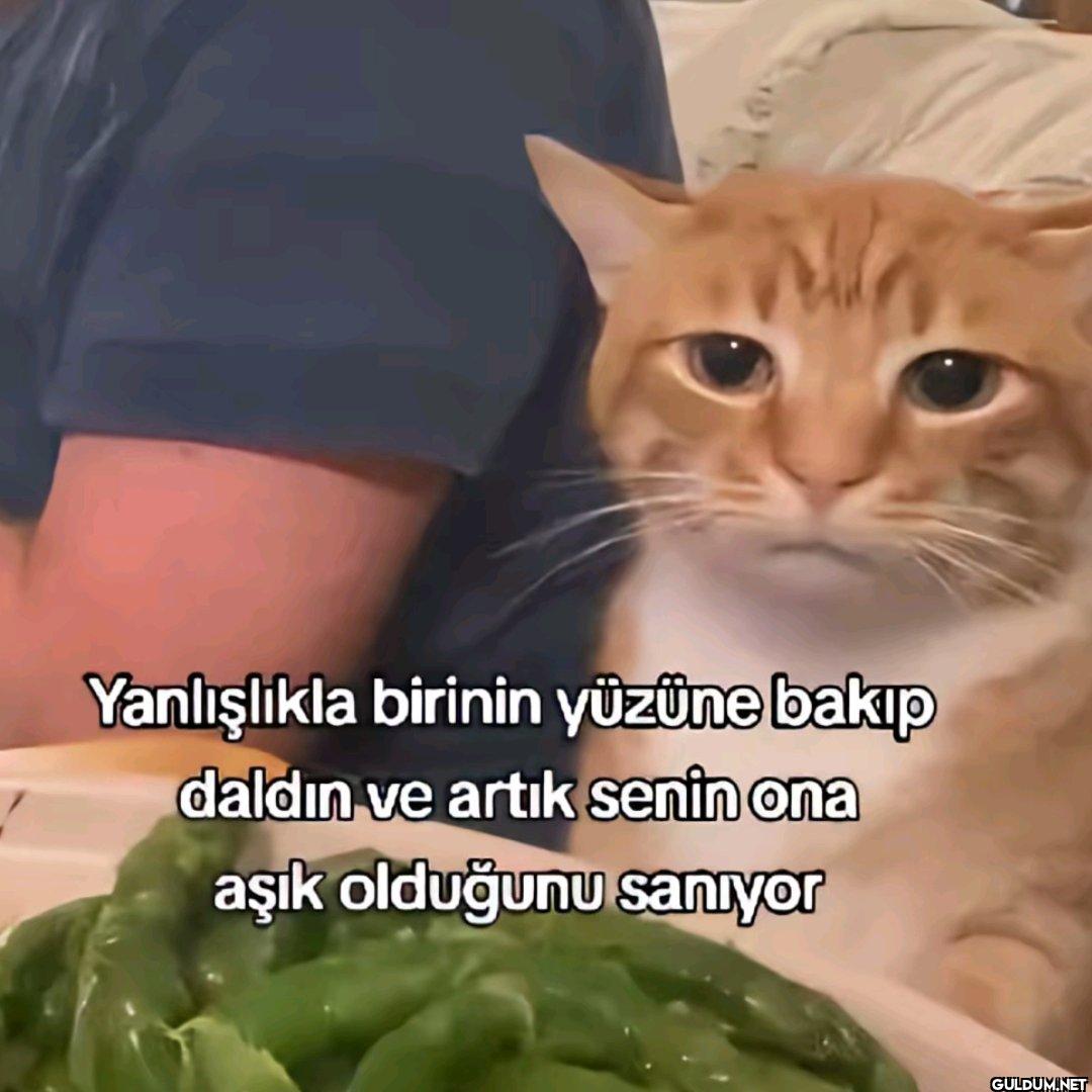 Yanlışlıkla birinin yüzüne...