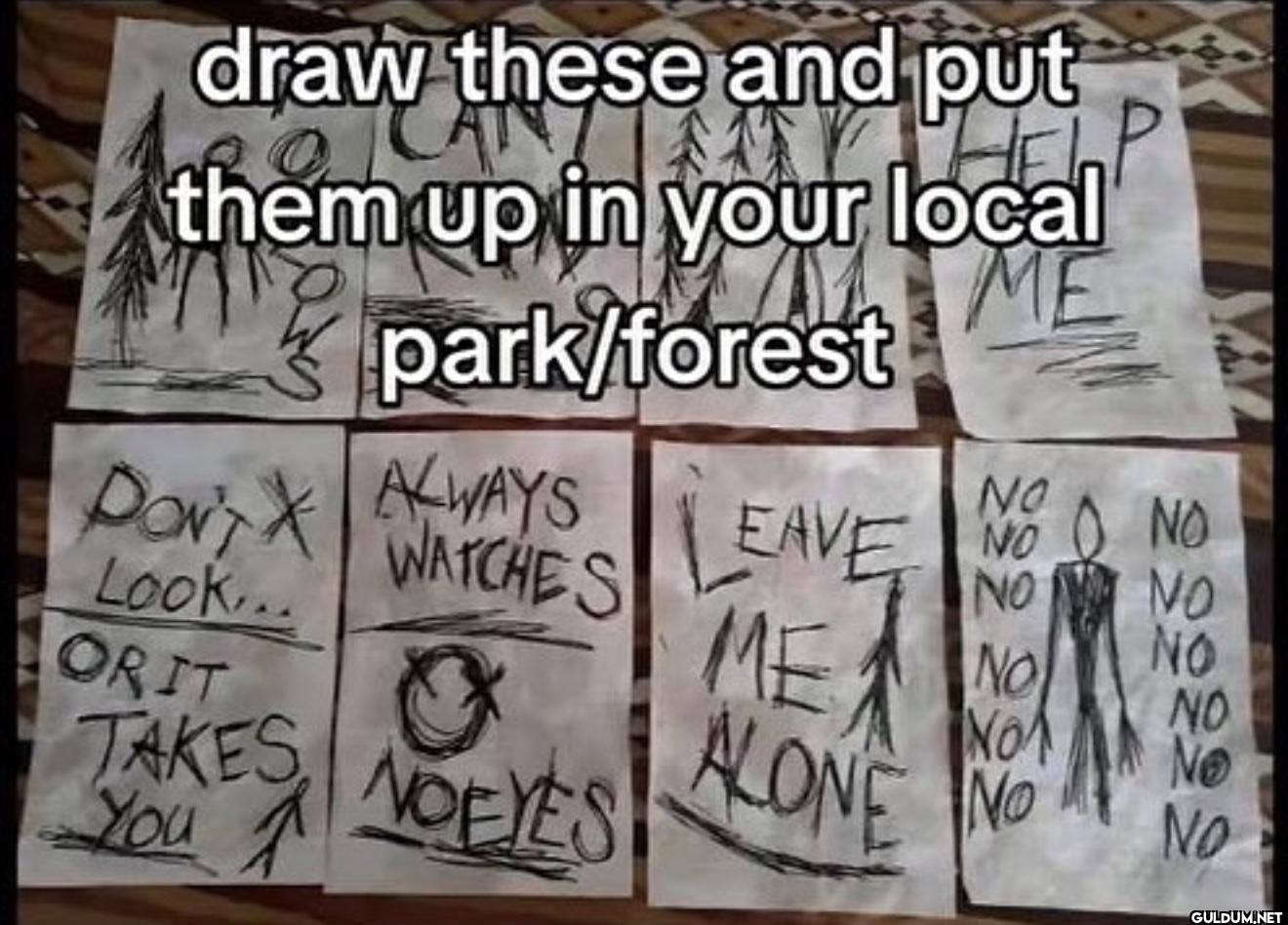draw these and put them up...