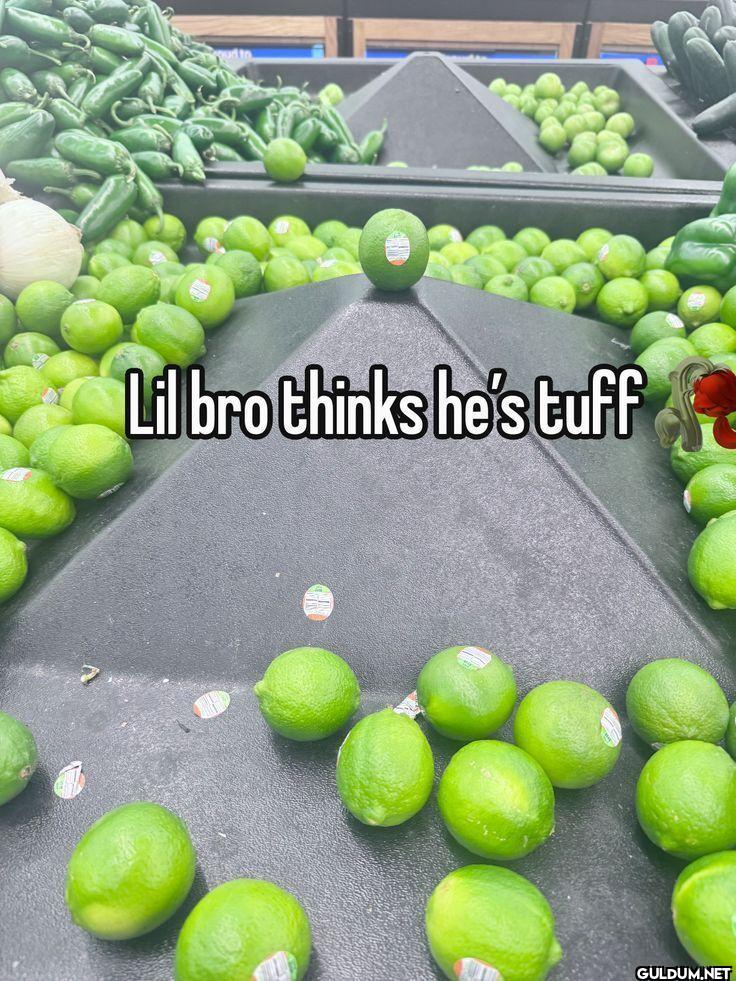 Lil bro thinks he's tuff