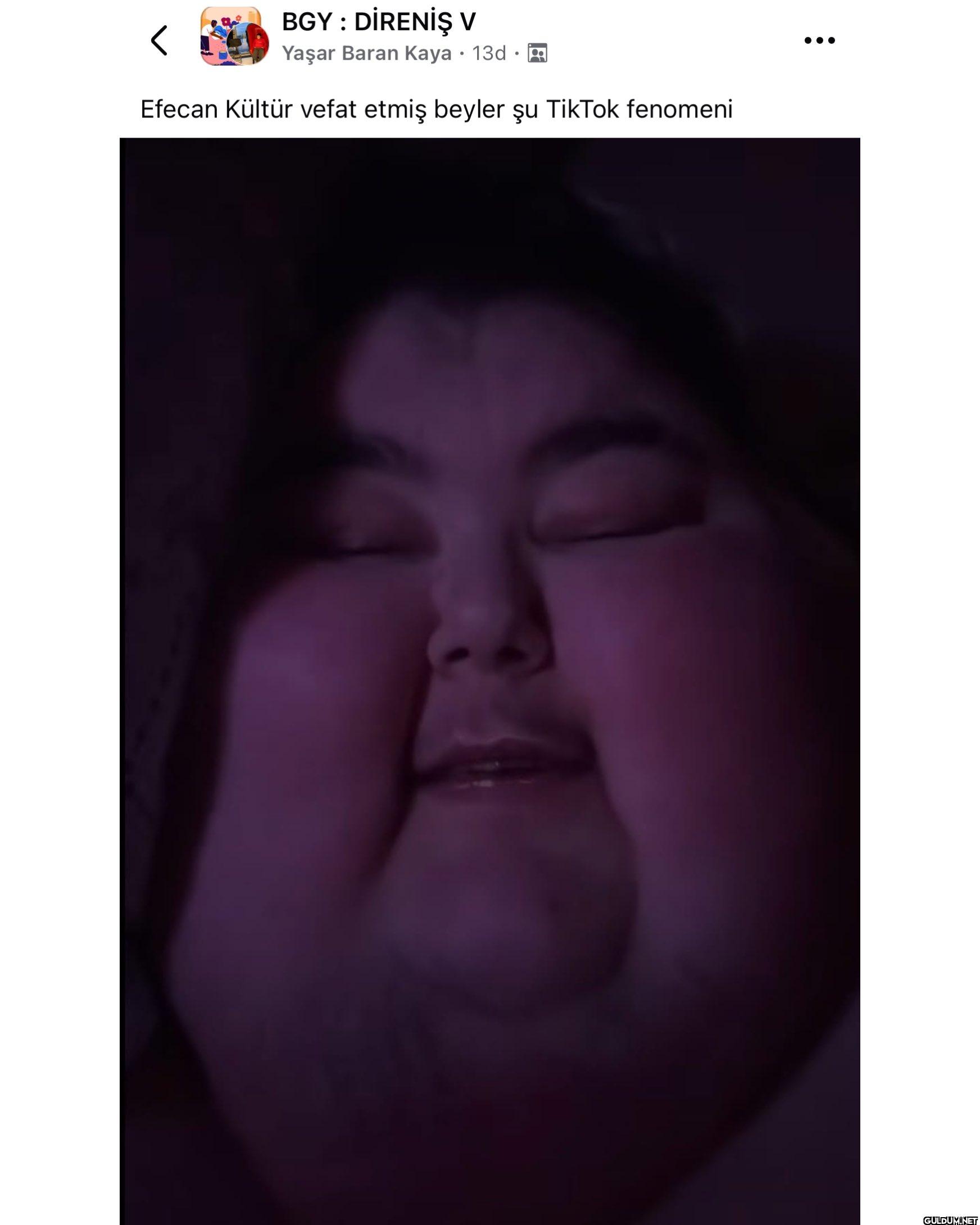 TikToK Fenomeni, Efecan...