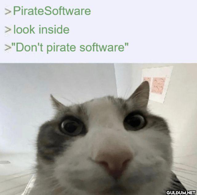 > Pirate Software > look...