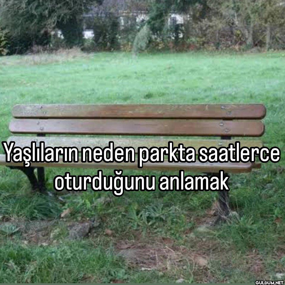 Yaşlıların neden parkta...