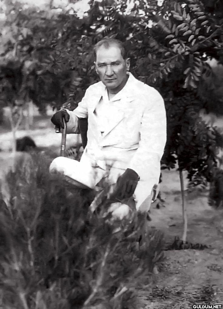 Father of Turks!
