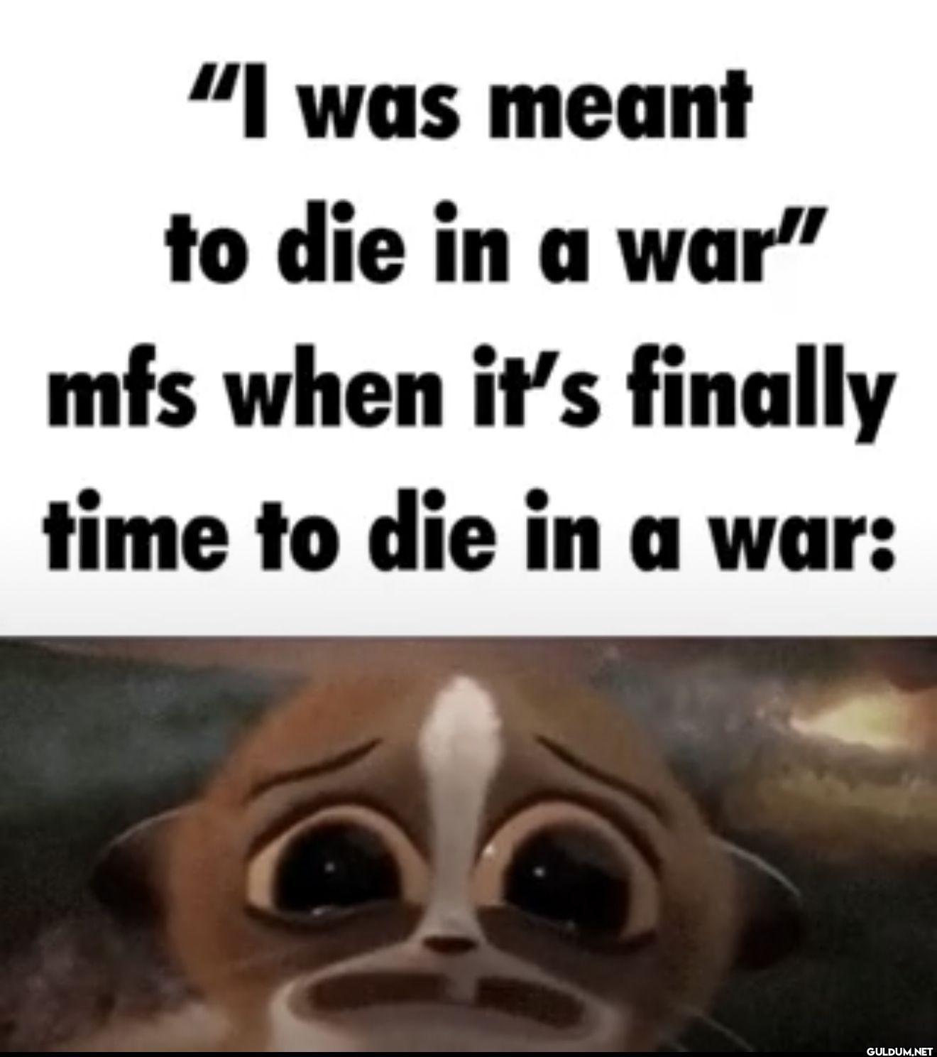"I was meant to die in a...