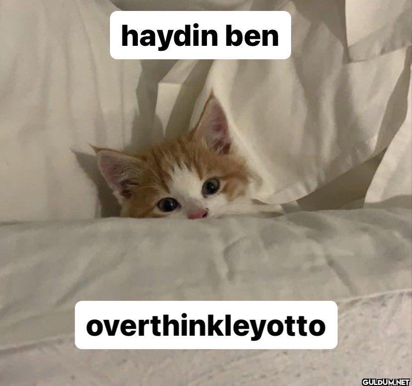 haydin ben overthinkleyotto