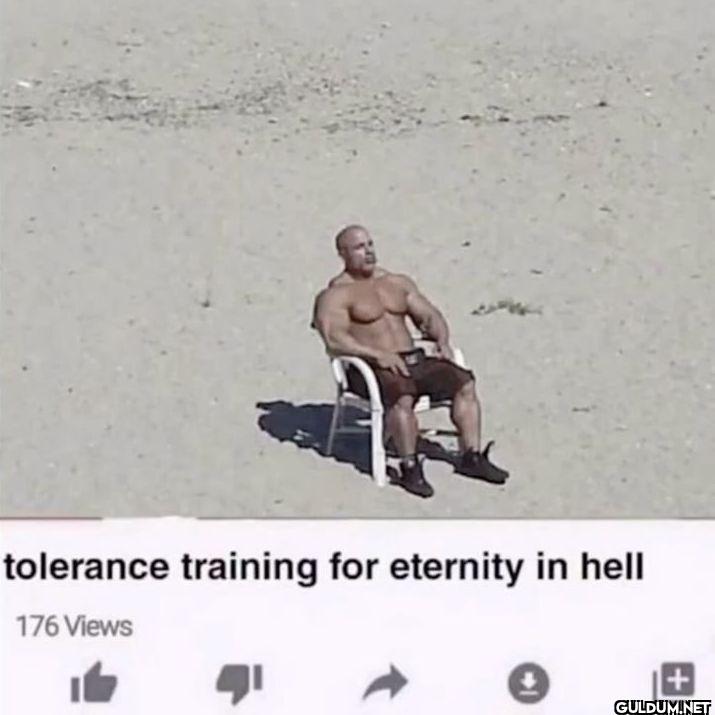 tolerance training for...