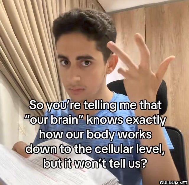 So you're telling me that...