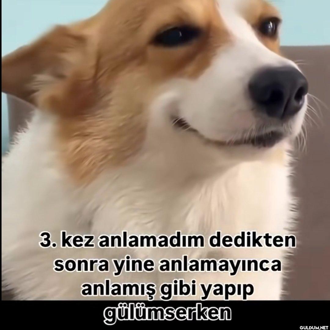 3. kez anlamadım dedikten...