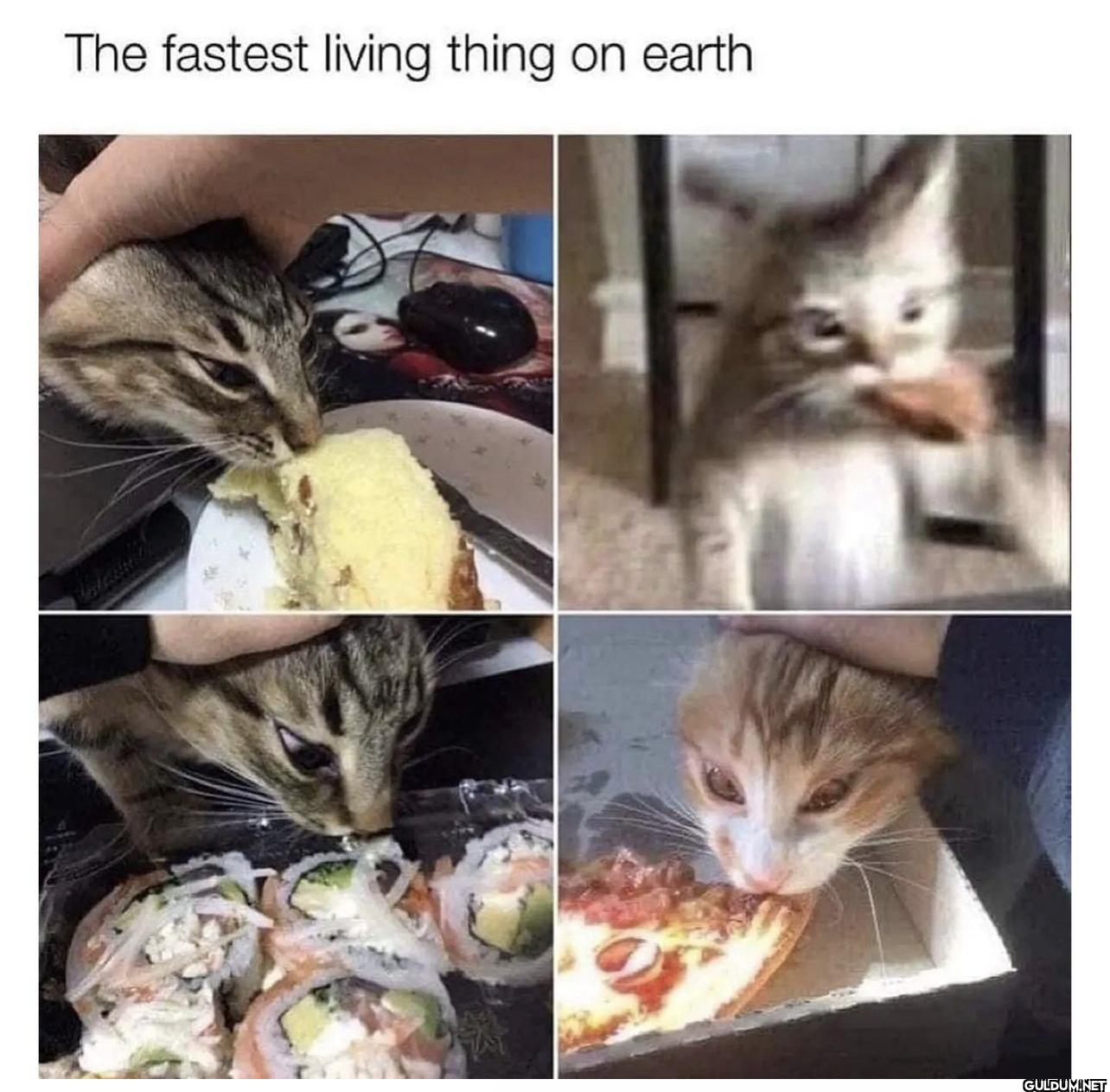︎ ︎ ︎ ︎ ︎ ︎ ︎ ︎ ︎ ︎ ︎ ︎ ︎...